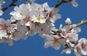 Ακολουθίες Φεβρουαρίου