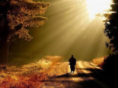 Οι προφητείες…