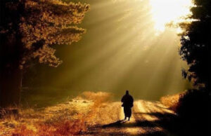 Οι προφητείες…