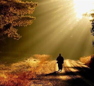 Οι προφητείες…